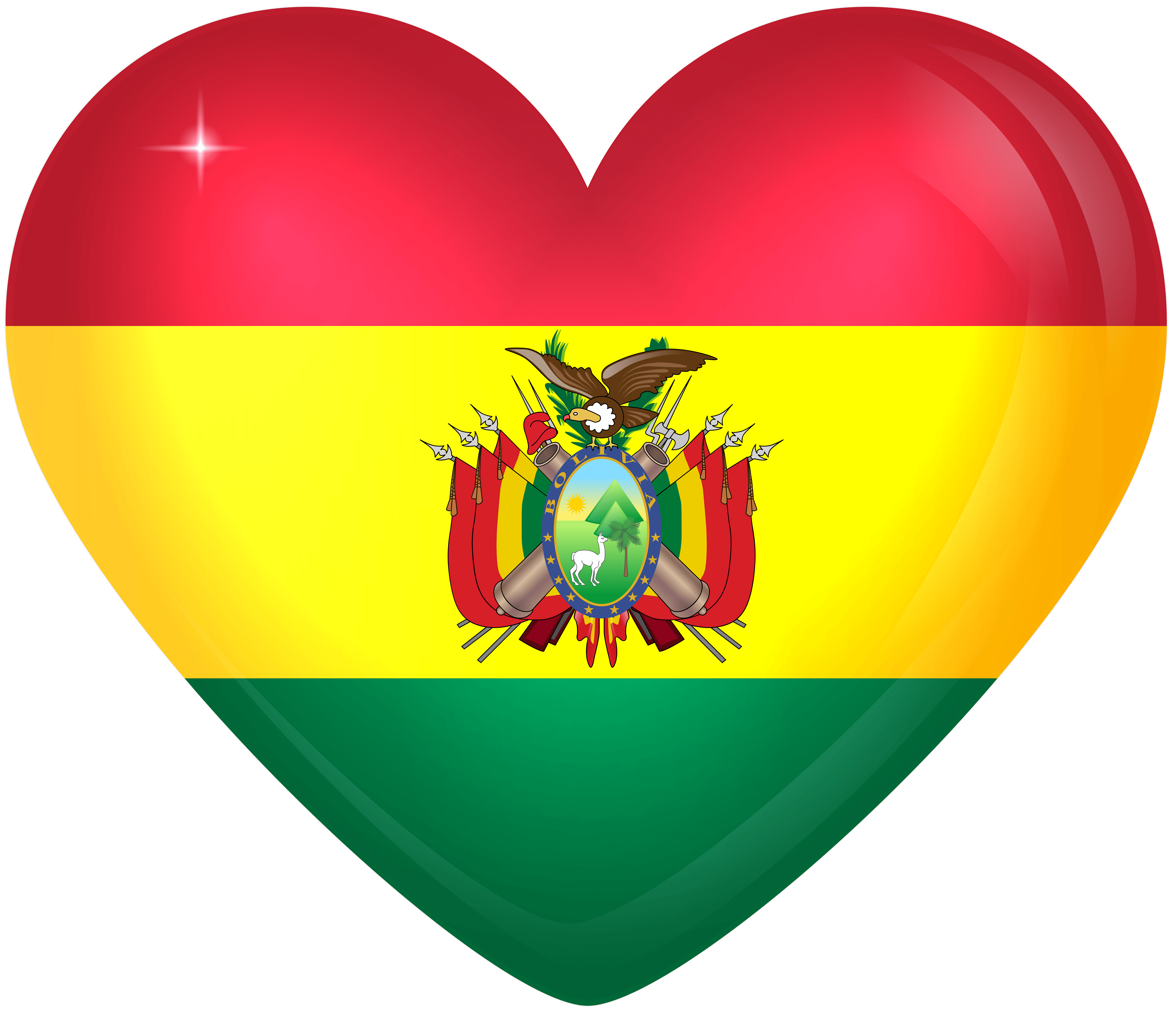 Bolivia Large Heart Flag Quality