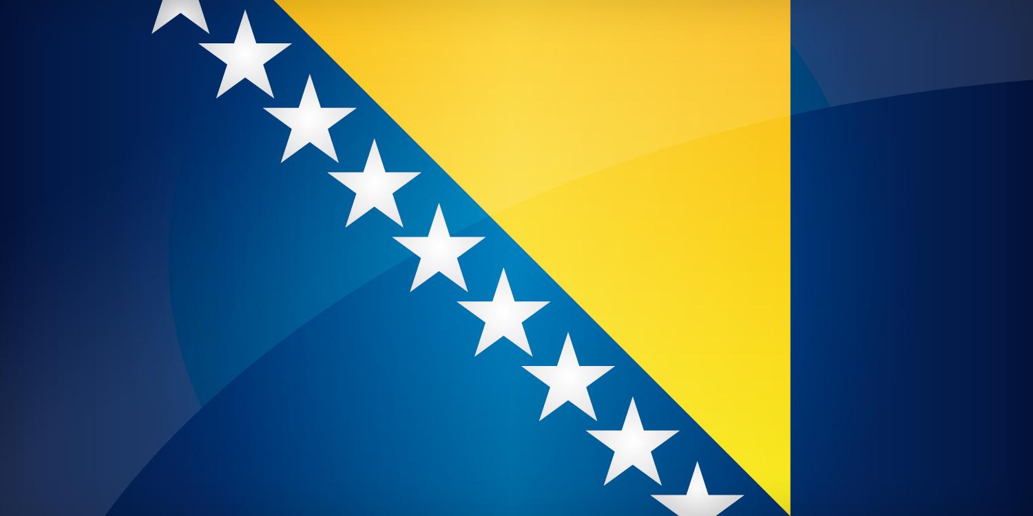 Flag of Bosnia and Herzegovina. Find the best design for Bosnian Flag