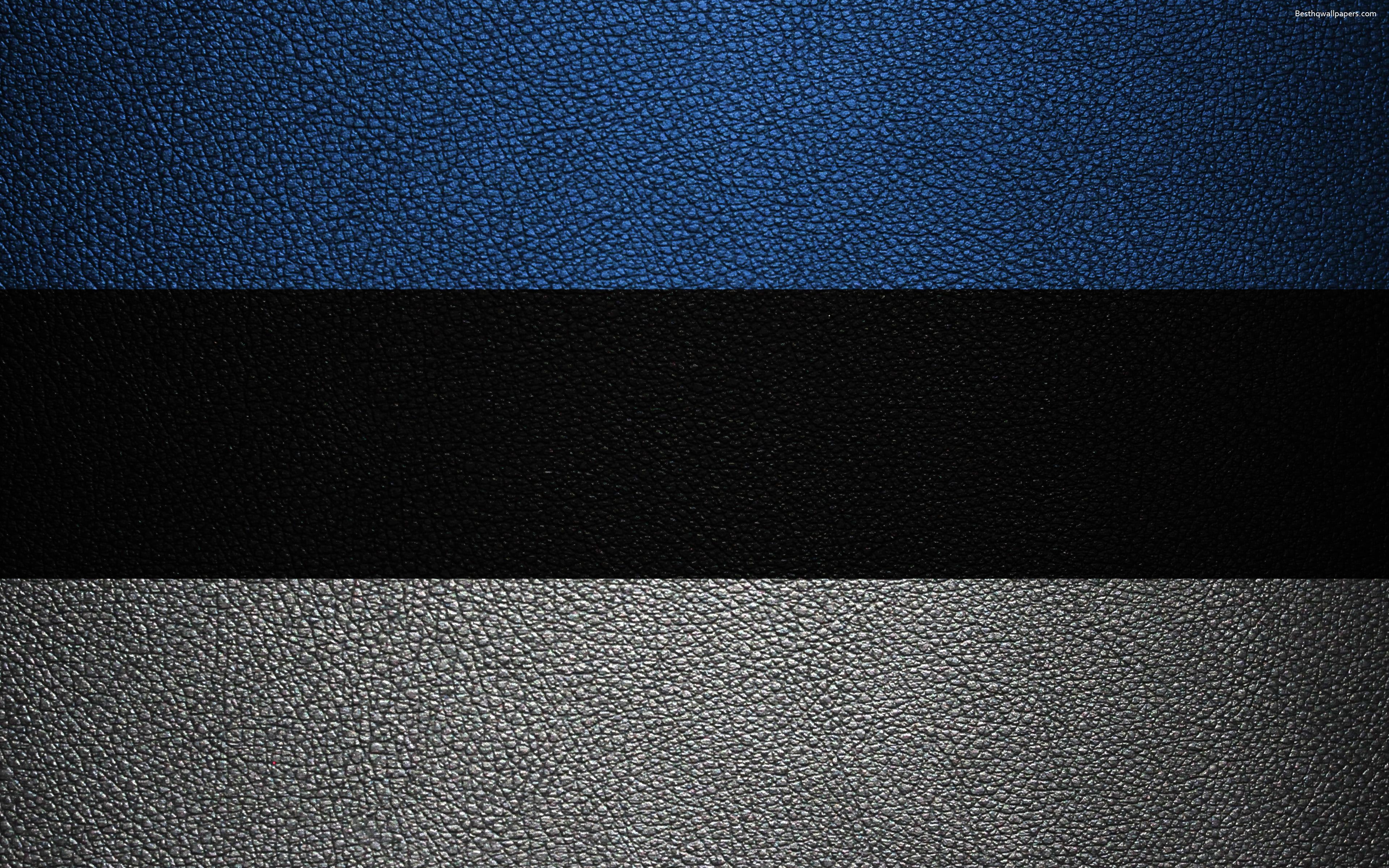 Download wallpaper Flag of Estonia, 4k, leather texture, Estonian