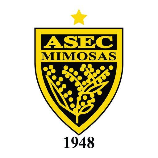 ASEC Mimosas wallpaper