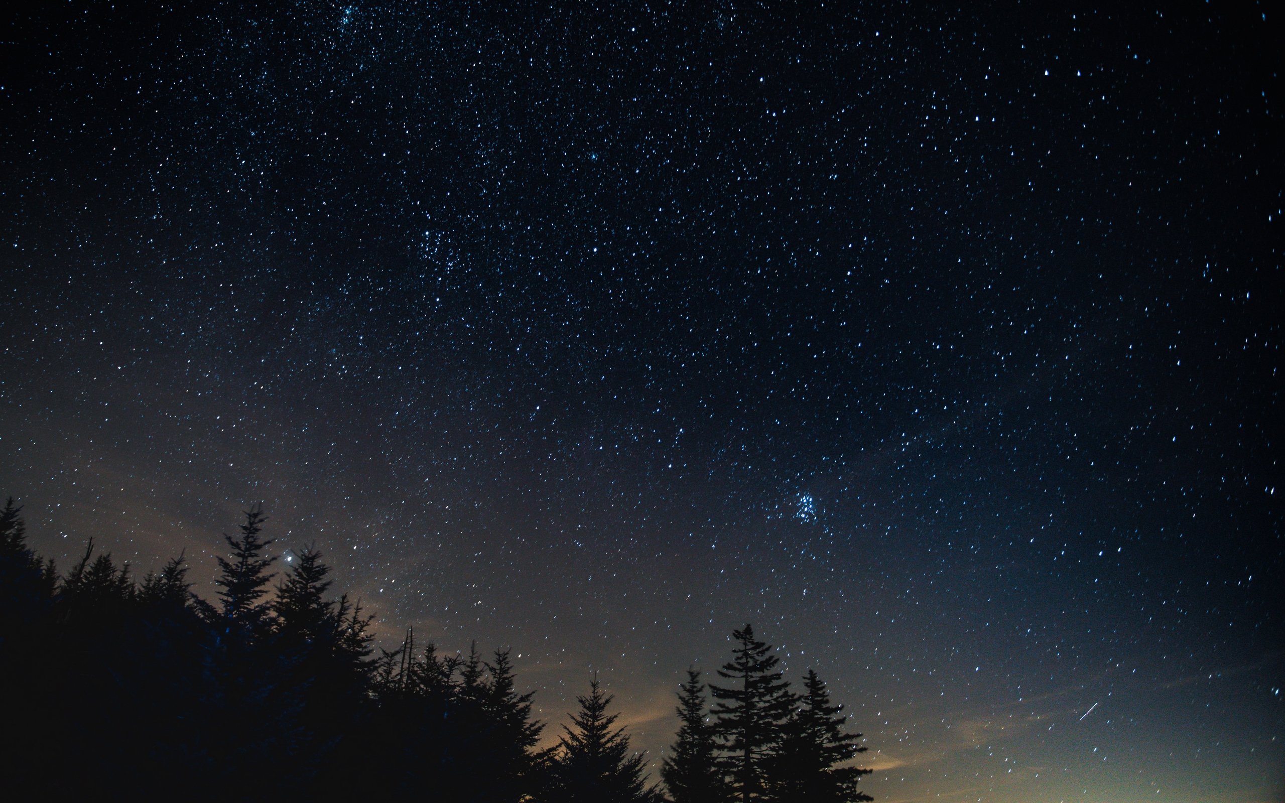 Download wallpaper 2560x1600 starry sky, night, trees, night