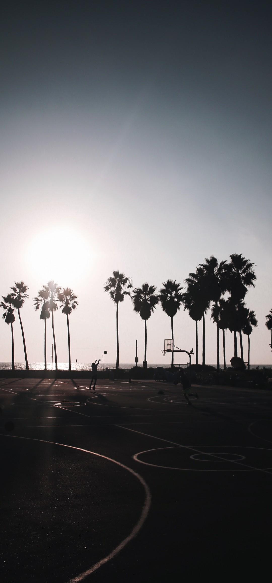 Download 1080x2310 Basketball, Palm Trees, Friends, Fun, Clear Sky