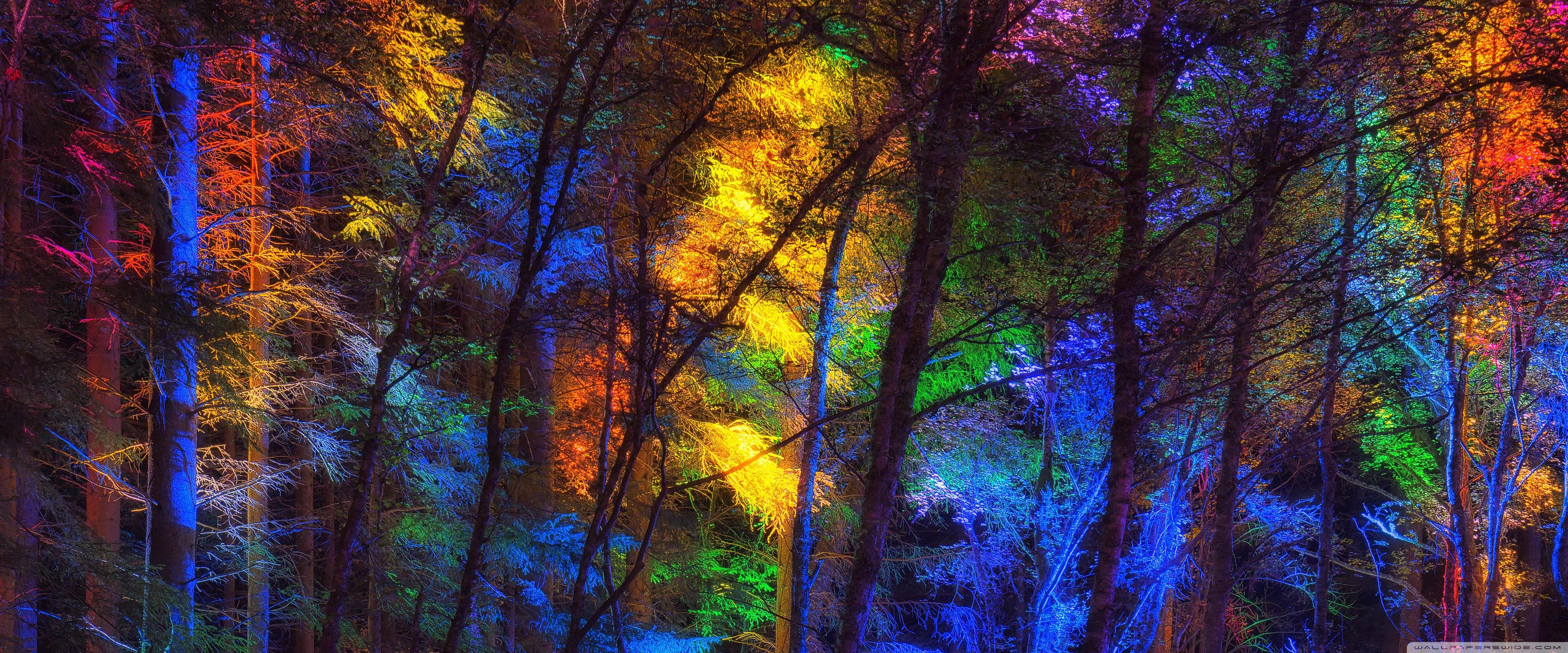 Colorful Forest ❤ 4K HD Desktop Wallpaper for 4K Ultra HD TV • Wide