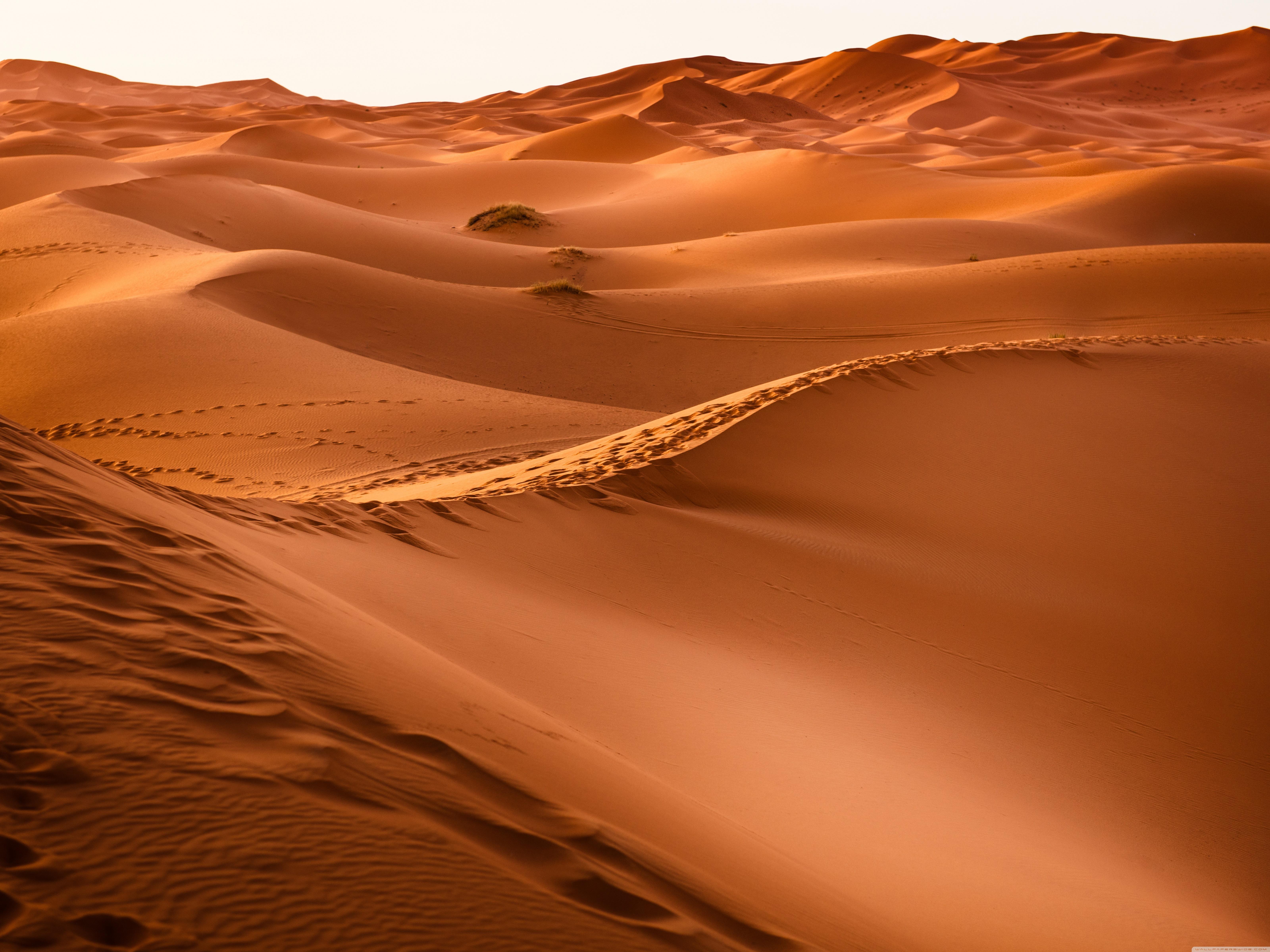 Sahara Wallpaper 4K (6400x4800)