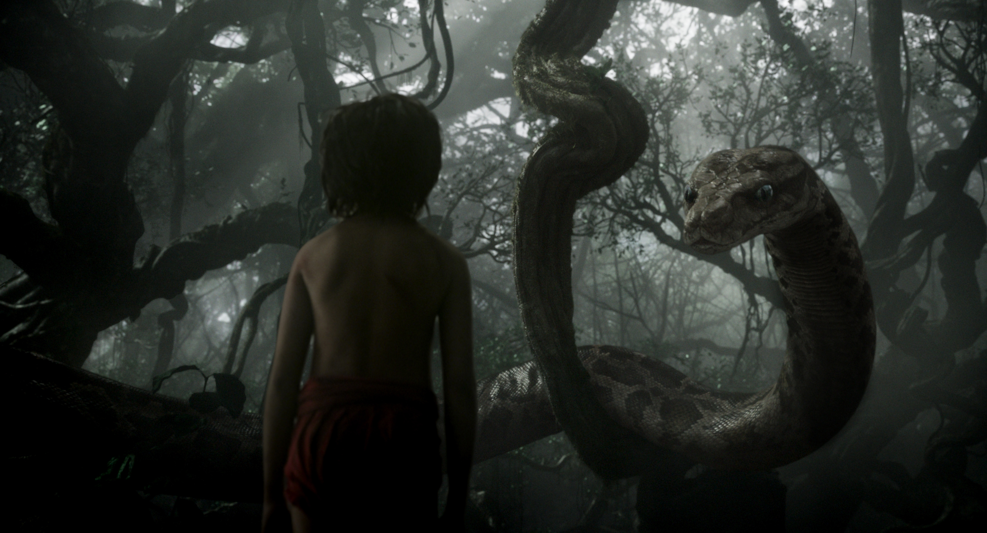 The Jungle Book (2016) HD Wallpaper. Background Imagex1080
