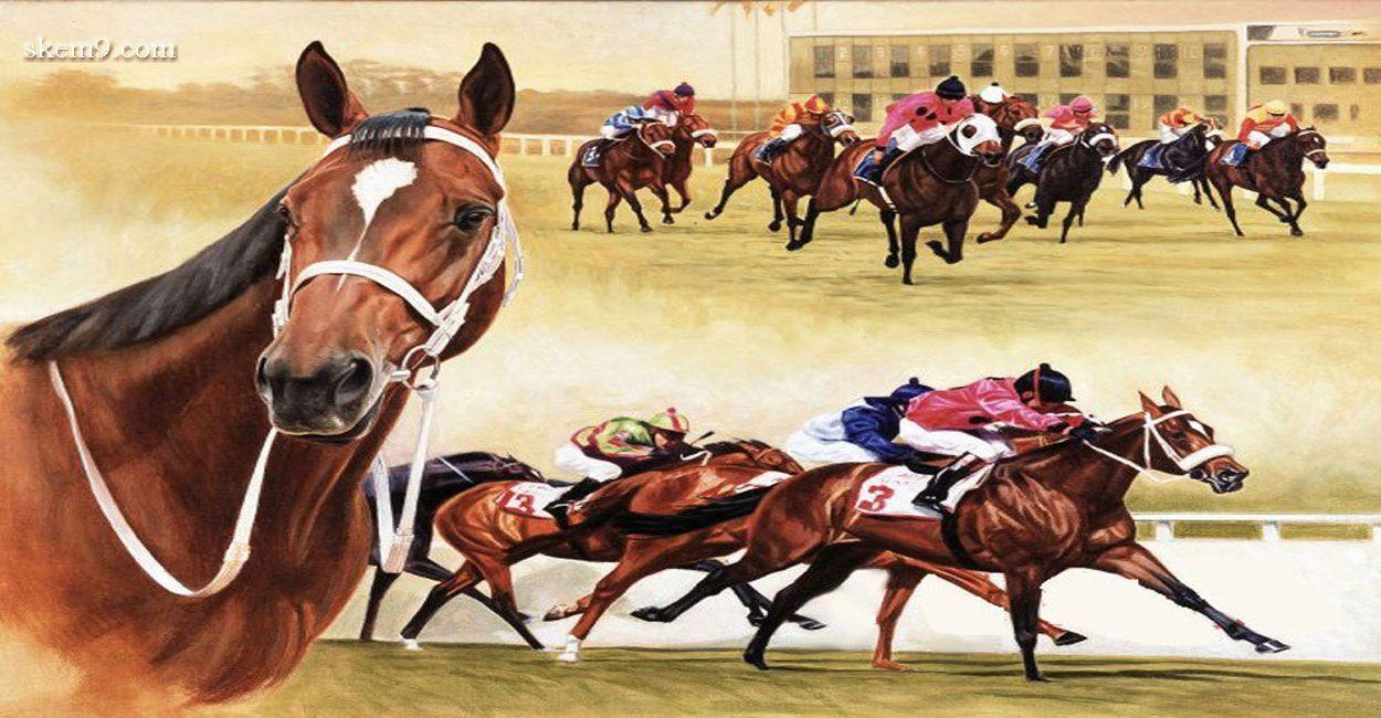 Horse Racing Strong Animals Wallpaper and Picture. Imageize: 189