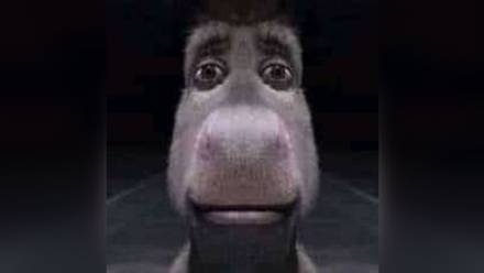 bored58786736577692365