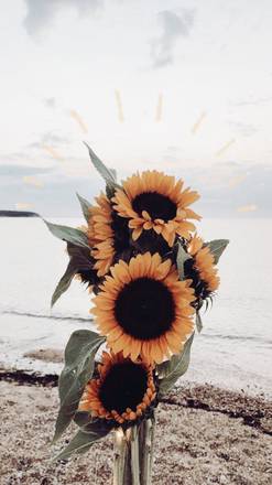 Kalit Wallpapers - Wallpaper Cave