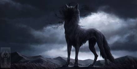 Unknown wolf king