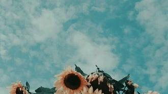 Wallpaper by TwT