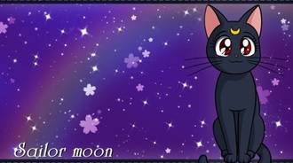 Luna cat