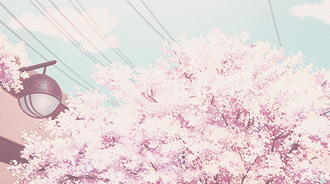 Sakura Treee