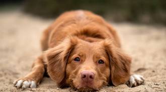 Wallpaper by ñðvå⭍ 