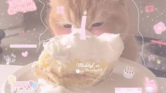 Wallpaper by MiaRose 