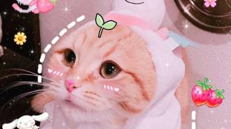 Wallpaper by MiaRose 