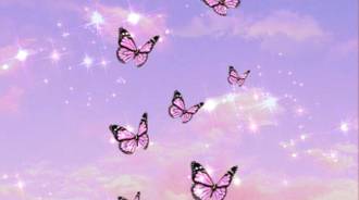 i love butterflies 
