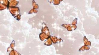 my beautiful butterflies   