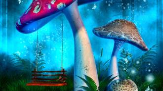 Digital Art Mushroom Swing 