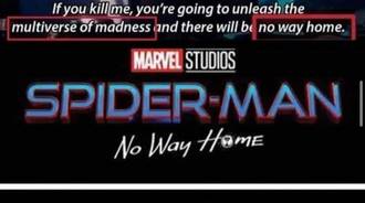 SPIDER-MAN : NO WAY HOME 