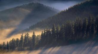 Early Morning Sun Rays Over Trees Mountains