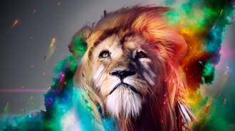 #Lion Wallpaper