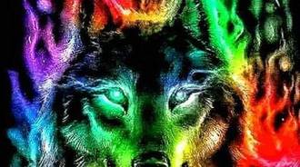 #Rainbow Wolf