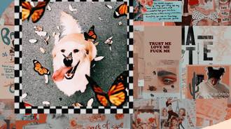 Wallpaper by puppy Annalee