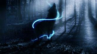 Magical wolf