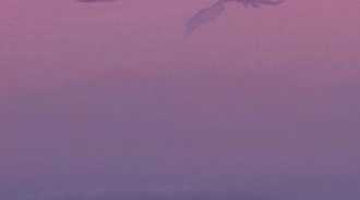 bi dragon 