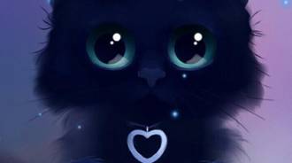 Cute Kitten