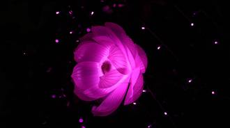 Flower Shape Artistic Light