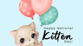 Happy National Kitten Day