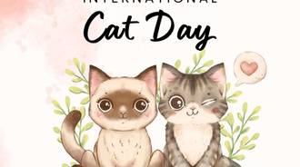 August wallpaper: International Cat Day