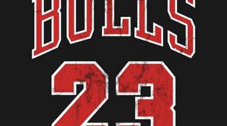 Chicago Bulls Logo
