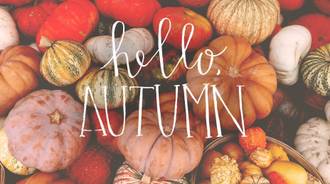 "Hello Autumn" wallpaper