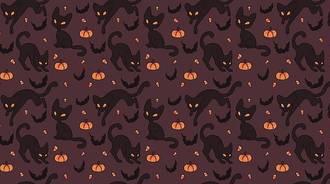 Halloween theme cat wallpaper- laptop
