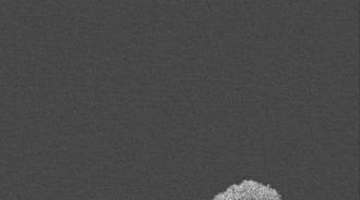 Wallpaper by make_out_hill
