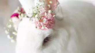 Wallpaper by 【M】【i】【k】【i】【o】