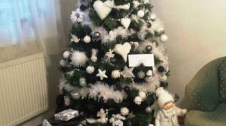 rate my mom´s Christmas tree 1-20