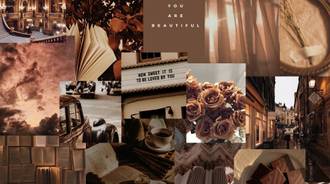 AESTHETIC BROWN COLLAGE