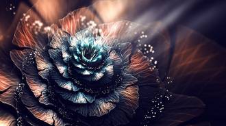 Wallpaper by Kakdholl 