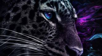Jaguar 4k wallpaper