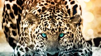 Wallpaper by Arwen