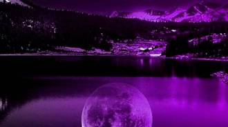 purple night