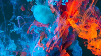 Wallpaper by kin kin