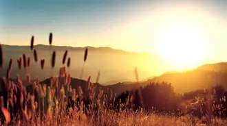 Wallpaper by Donna Frances Keblaitis