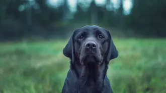 Wallpaper by creative2023