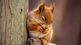 Wallpaper by creative2023