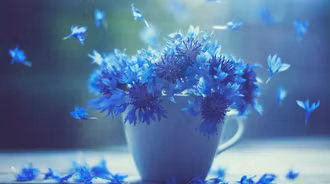 Beautiful Macro Shot Flower