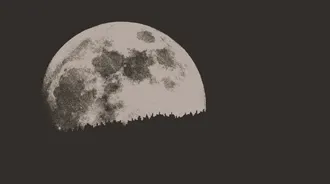 Wallpaper by zekexe